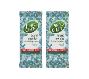 2 Pack Pine O Cleen Brand New Day Disinfectant Wipes Coconut & Sea Salt 120 Pack