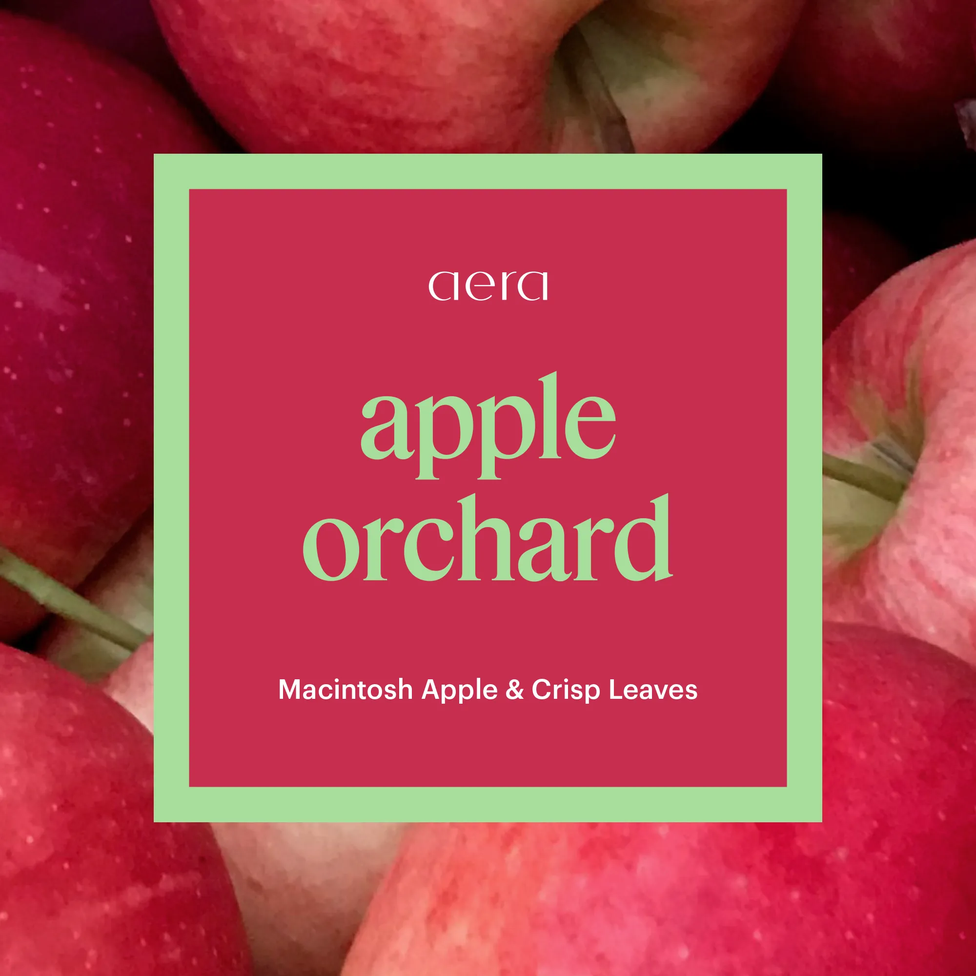 Apple Orchard