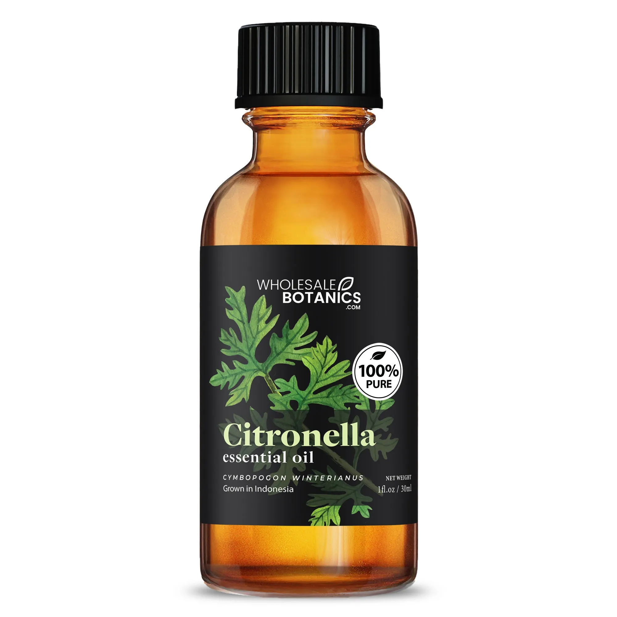 Citronella Essential Oil