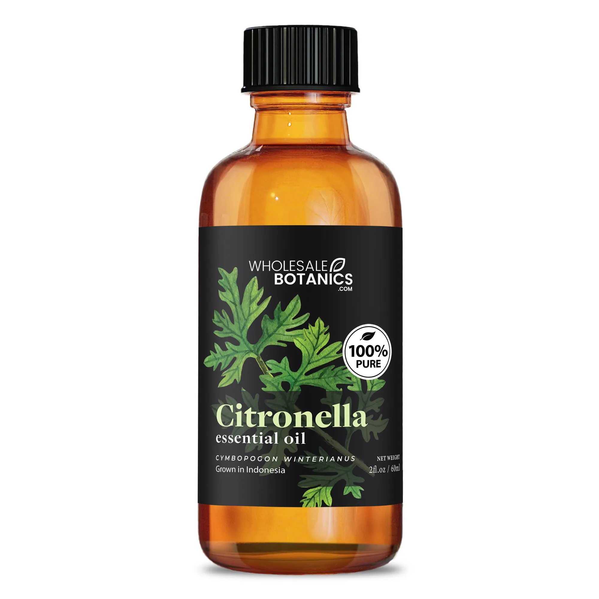 Citronella Essential Oil