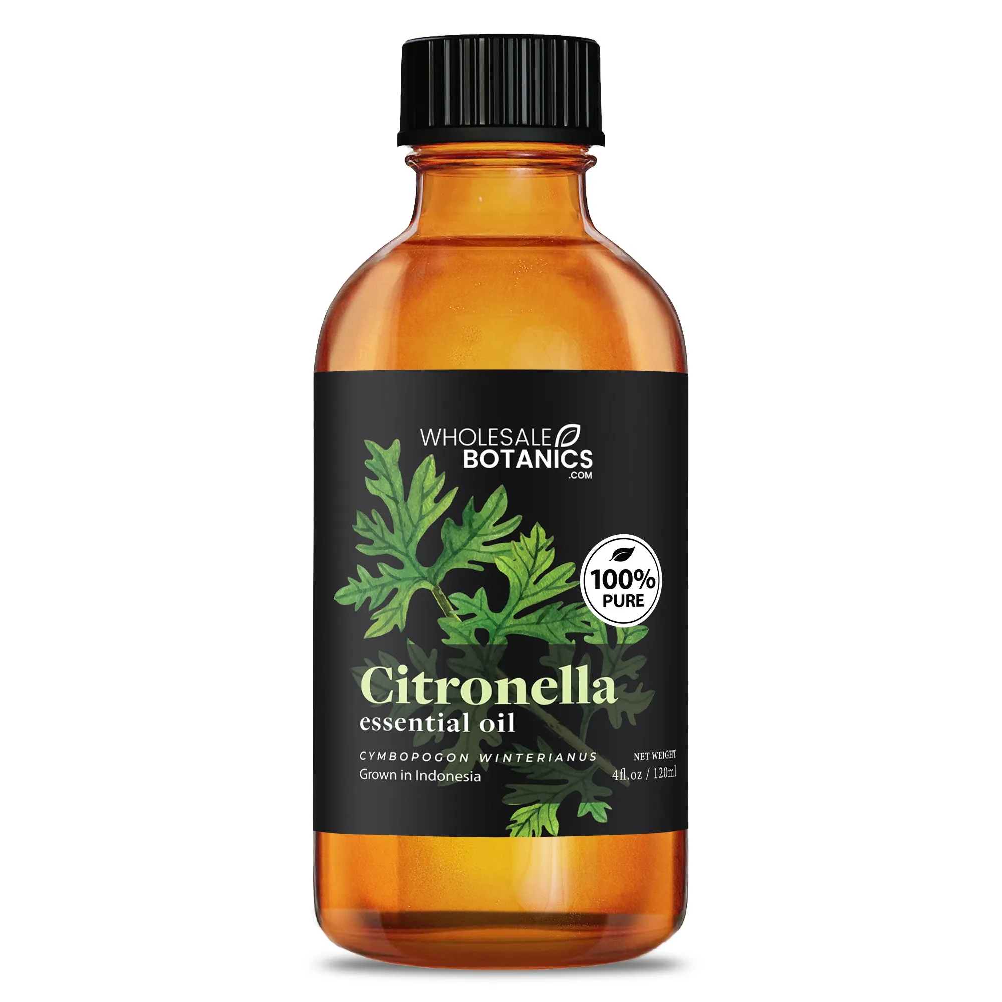 Citronella Essential Oil