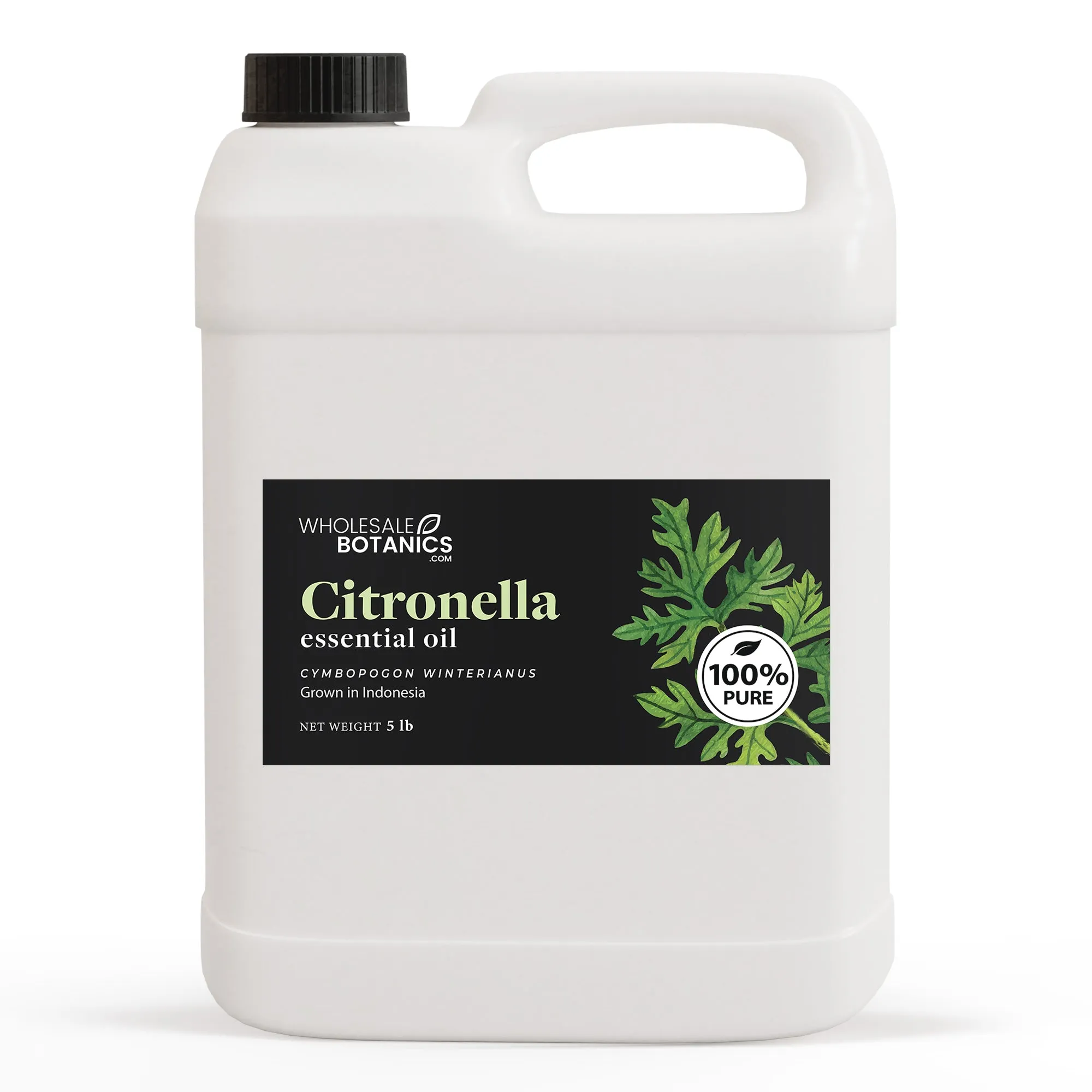 Citronella Essential Oil