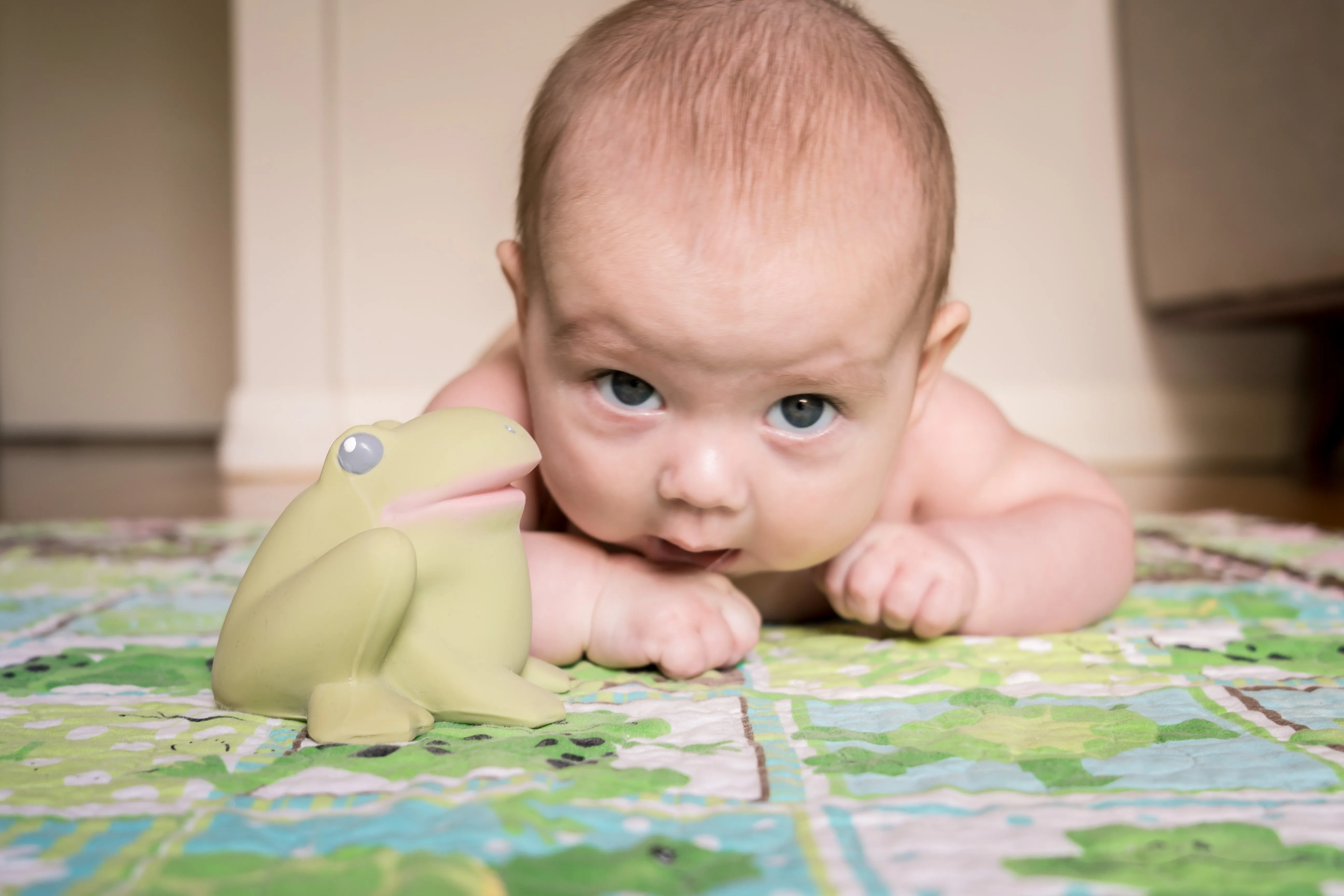 Gemba the Frog Organic Natural Rubber Teether, Rattle & Bath Toy