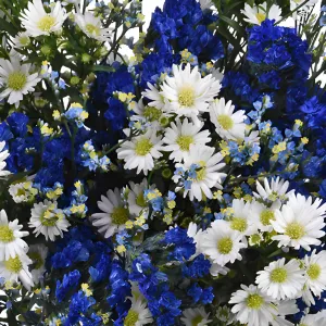 Hues of Blue Filler Flower Centerpiece