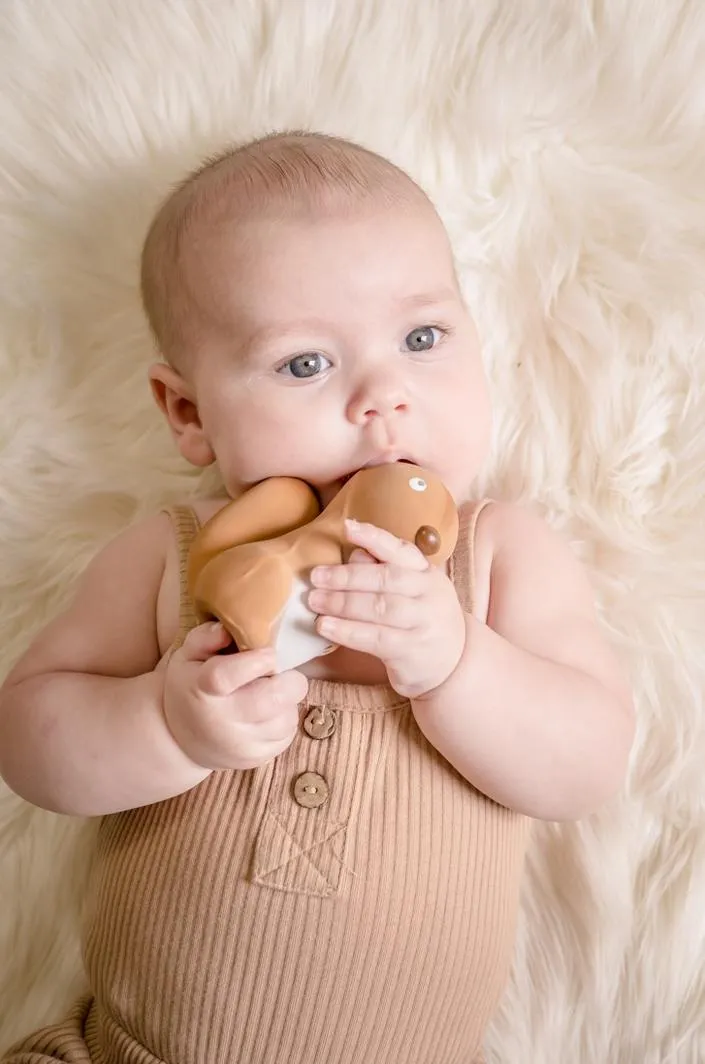 My First Tikiri Teether and Bath Toy - Squirrel Gift Boxed