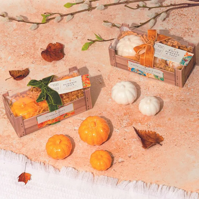 Pumpkin Spice Soap Bar Gift Set