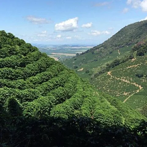 Sitio da Torre Natural, Mantiqueira de Minas